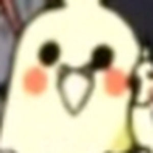 Meet your Posher, Abdullah